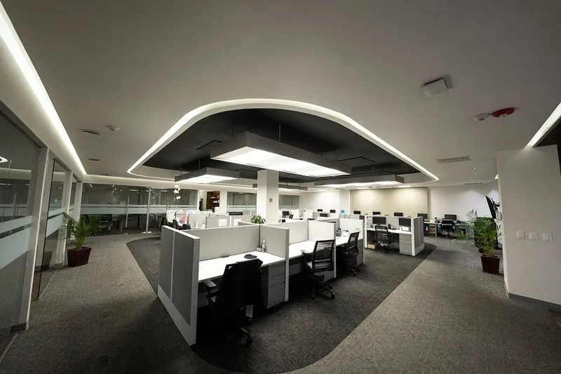 Vista de planta abierta con cubículos grises bajo un techo decorativo negro con bordes de luz blanca y plantas verdes